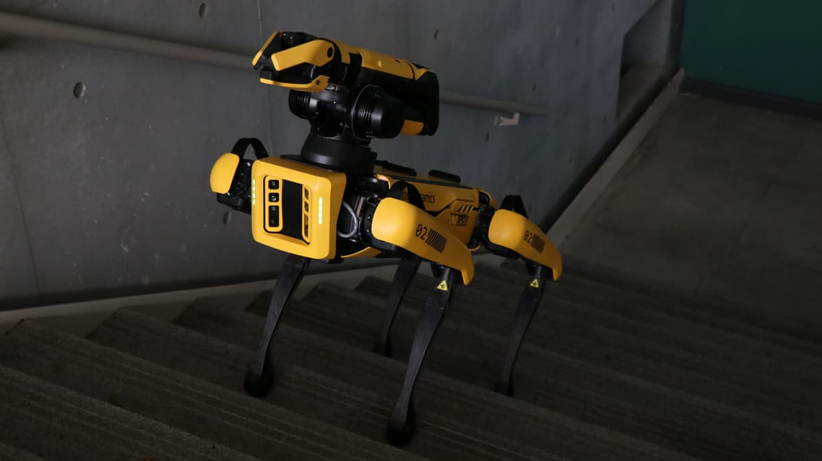 Spot Robot